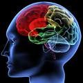 Mind