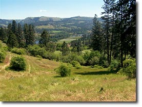 44 acres in North Central Idaho